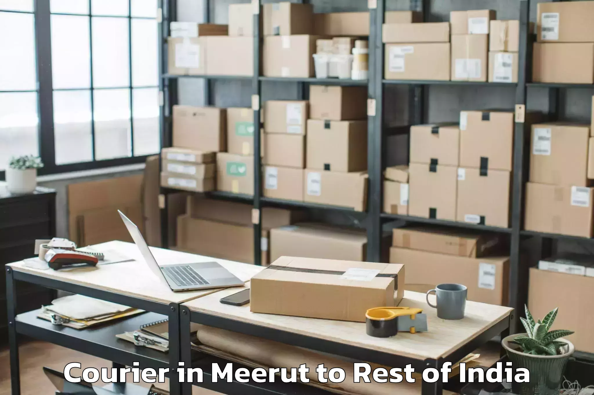 Leading Meerut to Gangarar Courier Provider